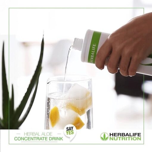 Concentrado herbal aloe herbalife