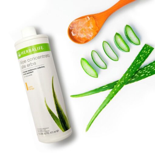 Concentrado herbal aloe vera bebida