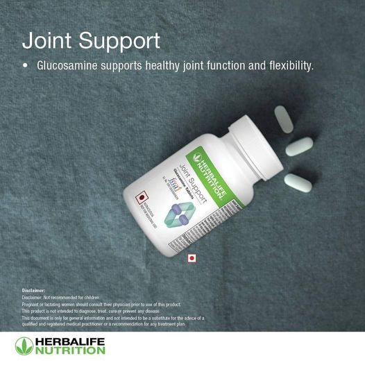 joint support 2